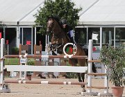 Dalla Mano Ernedelux CsioArJYR SS7 7267 : CSIO Giovani Arezzo, Dalla Mano Maria, Ernedelux, foto Stefano Secchi ©